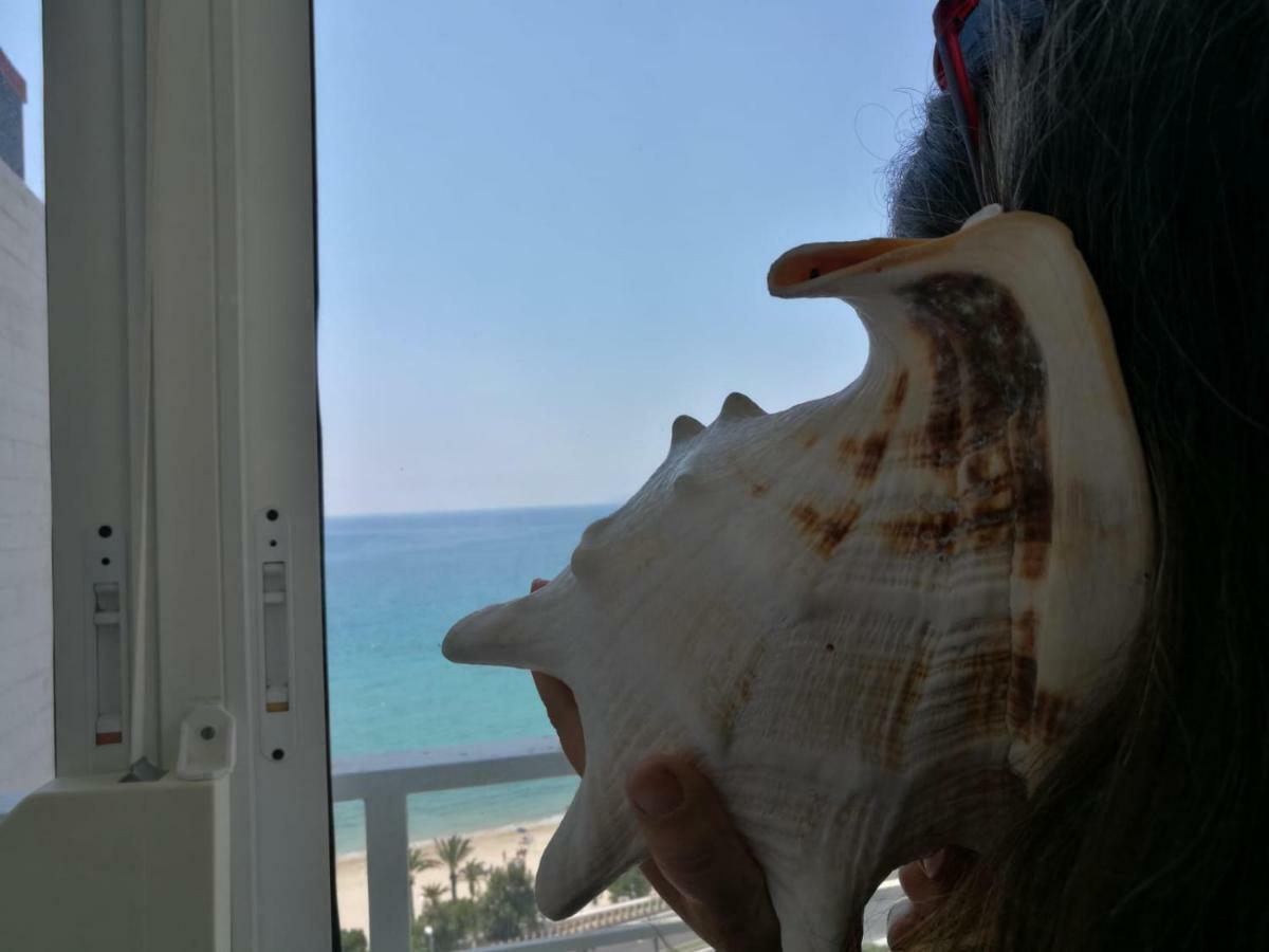 Grandpa Beach House アリカンテ エクステリア 写真